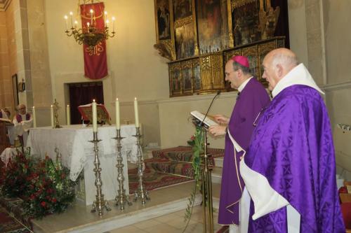 IMG 8471 (1)