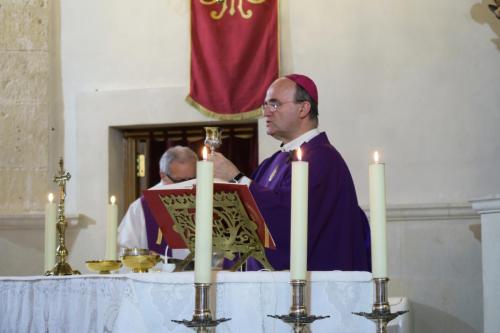 IMG 8592